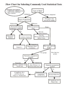 Stats Flow Chart V2003